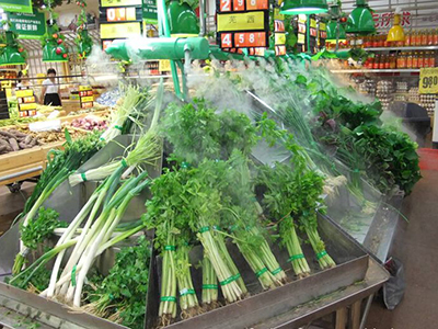 韩国绿萝卜市场价格