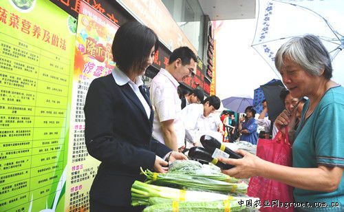 上海青菜种植技术