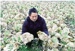 尤金885土豆储藏通风设备价格
